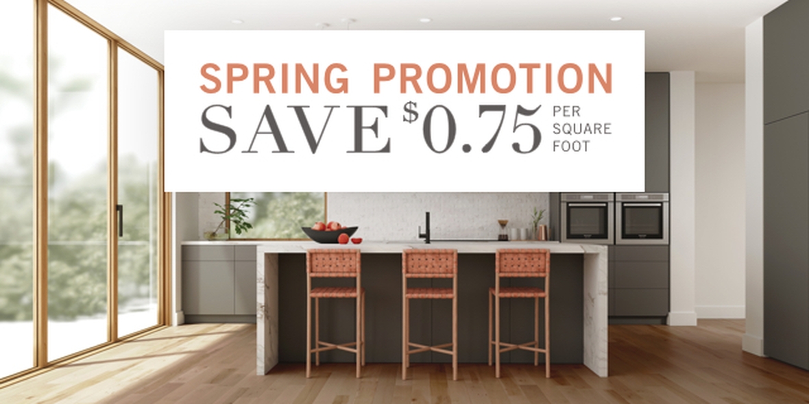 Spring Promotion 2020