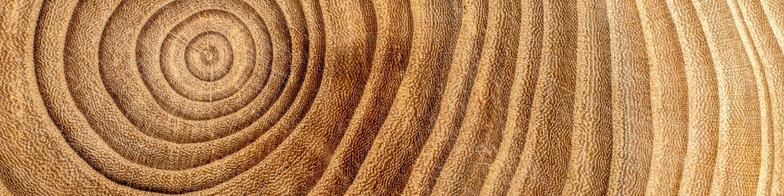 Wood and its features