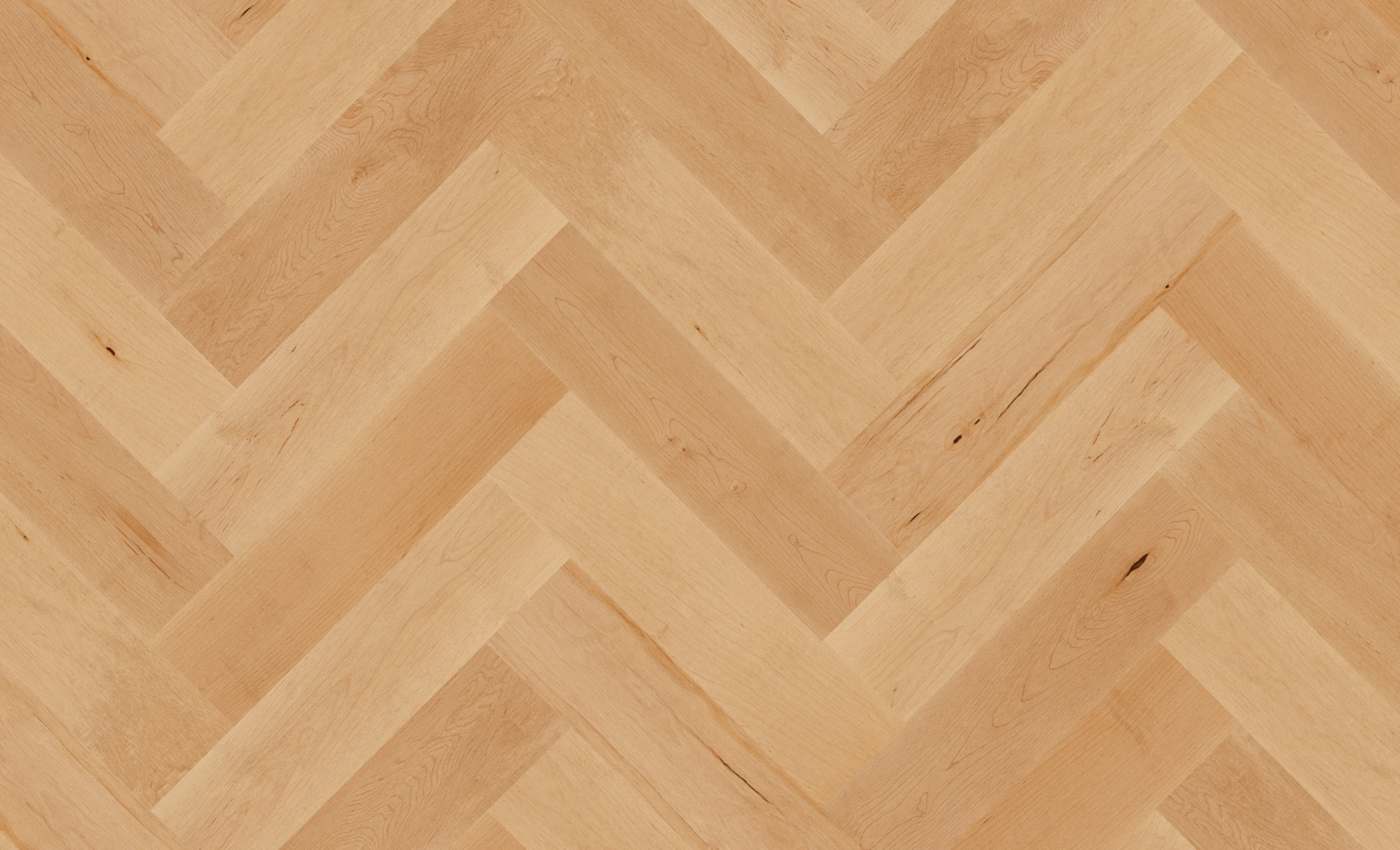 Hard Maple Crème Brûlée