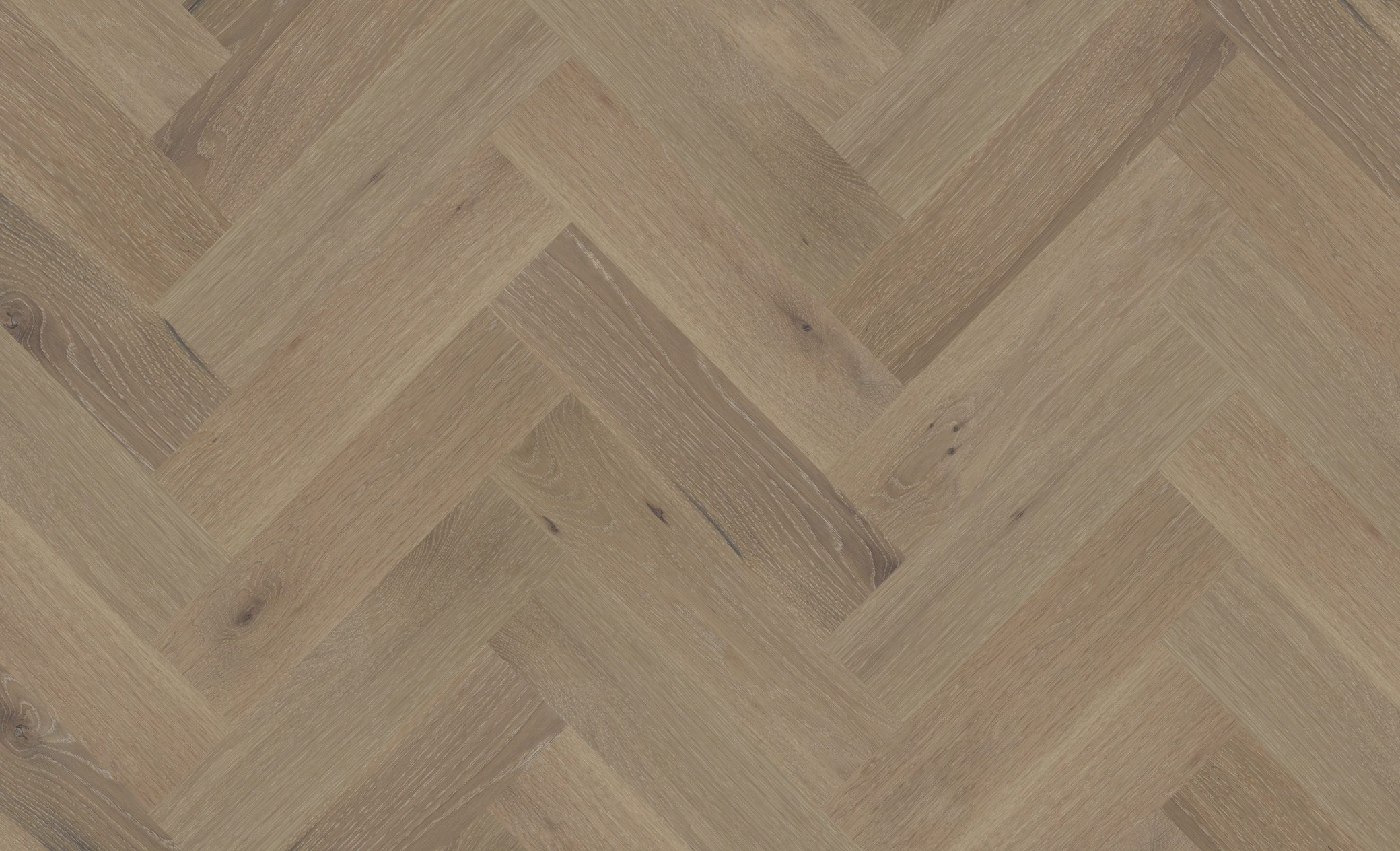 White Oak Crema