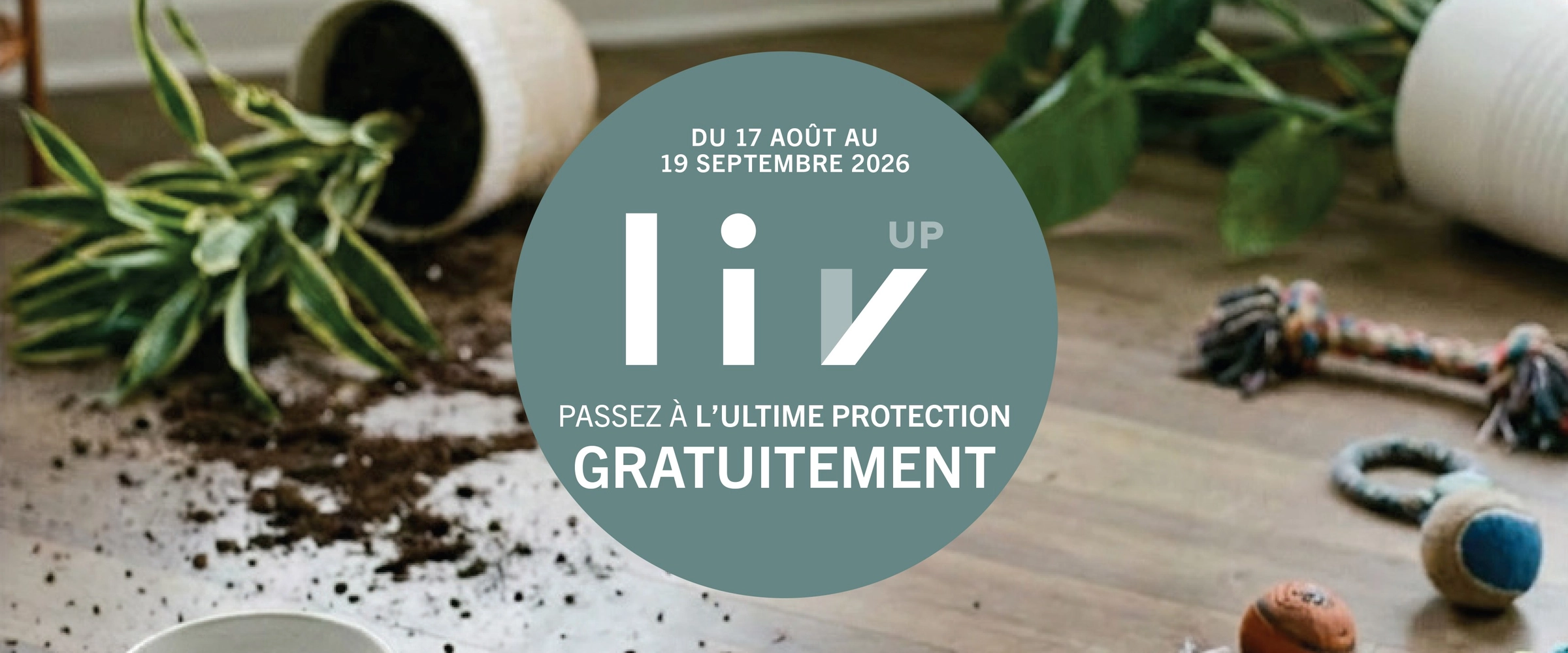 La fin de l'été rime avec GRATUITÉ!