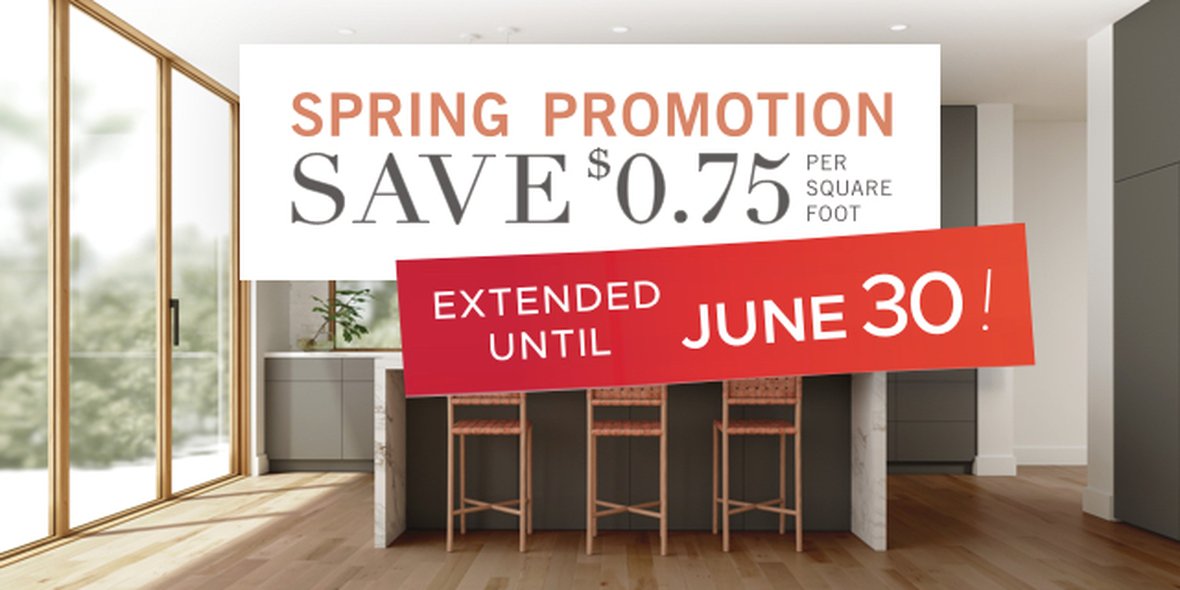 Spring Promotion 2020
