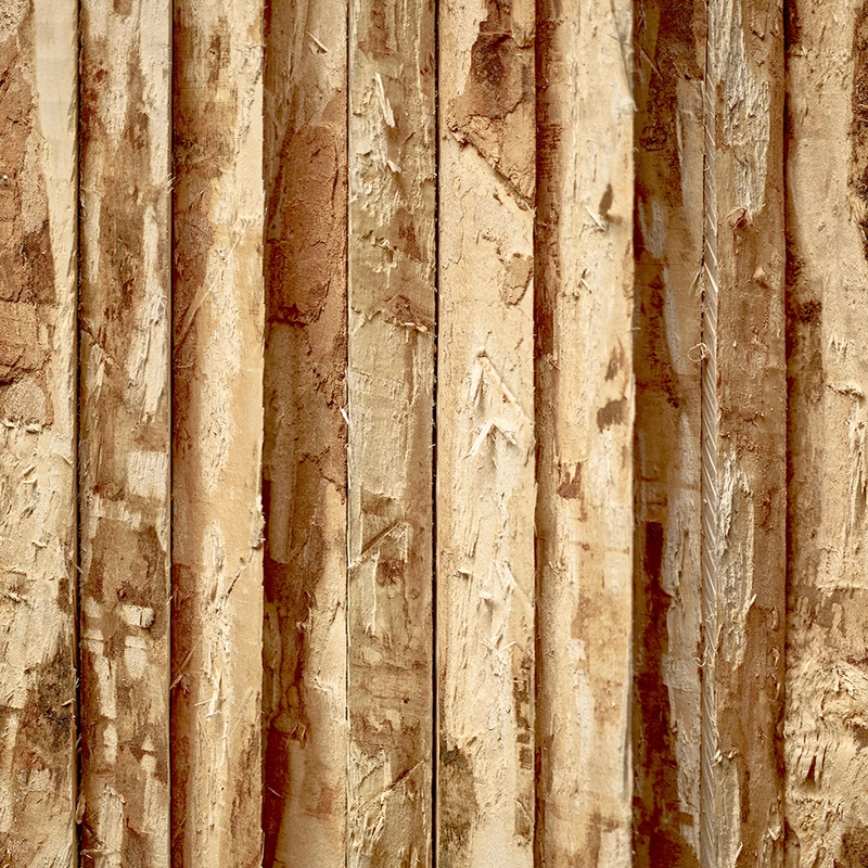 Natural wood texture