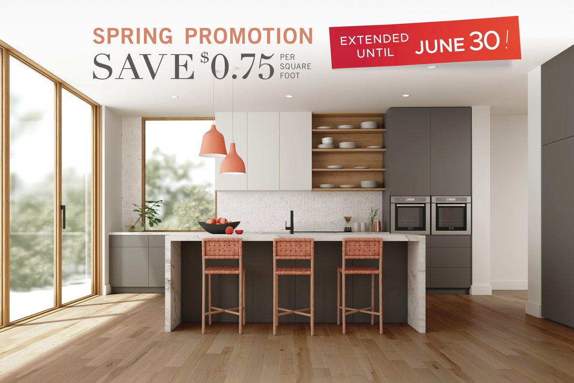 Spring Promotion 2020